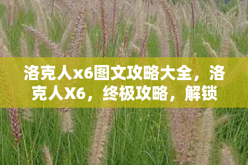 洛克人x6图文攻略大全，洛克人X6，终极攻略，解锁无限可能！