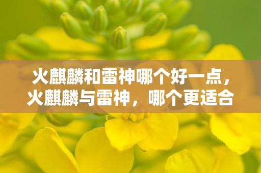 火麒麟和雷神哪个好一点图片