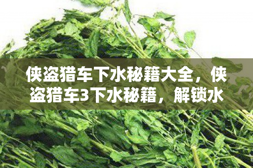 解锁水下探索的隐藏技巧图片