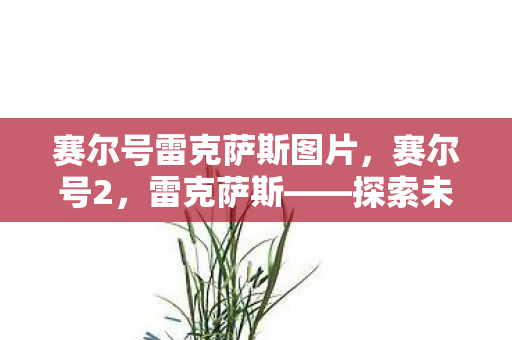 赛尔号雷克萨斯图片图片