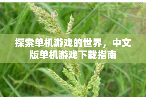 探索单机游戏的世界，中文版单机游戏下载指南