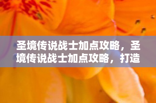 圣境传说战士加点攻略图片