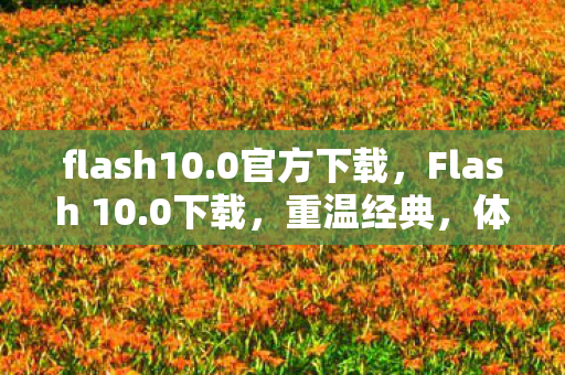 Flash 10图片