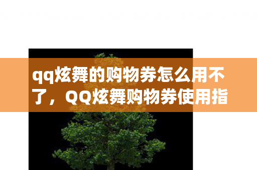 qq炫舞的购物券怎么用不了图片