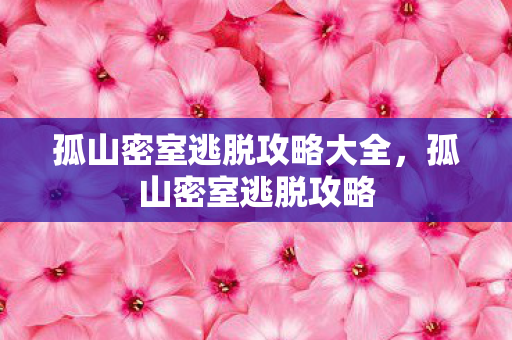 孤山密室逃脱攻略大全图片