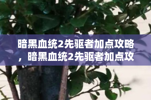 暗黑血统2先驱者加点攻略图片