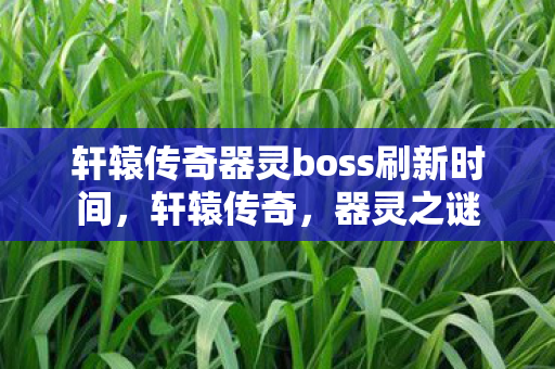 轩辕传奇器灵boss刷新时间图片