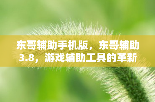游戏辅助工具的革新与未来图片