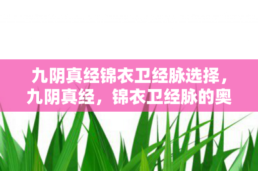 九阴真经锦衣卫经脉选择图片