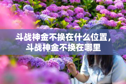 斗战神金不换在什么位置图片