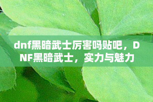 dnf黑暗武士厉害吗贴吧图片