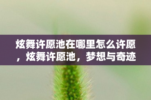 炫舞许愿池在哪里怎么许愿图片