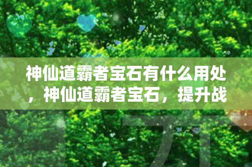 神仙道霸者宝石有什么用处图片