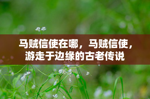 游走于边缘的古老传说图片