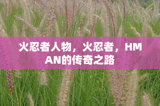 HMAN的传奇之路图片