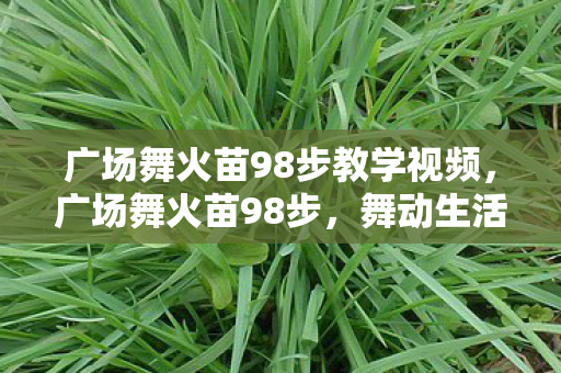 广场舞火苗98步教学视频图片