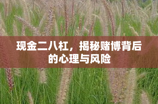 揭秘赌博背后的心理与风险图片