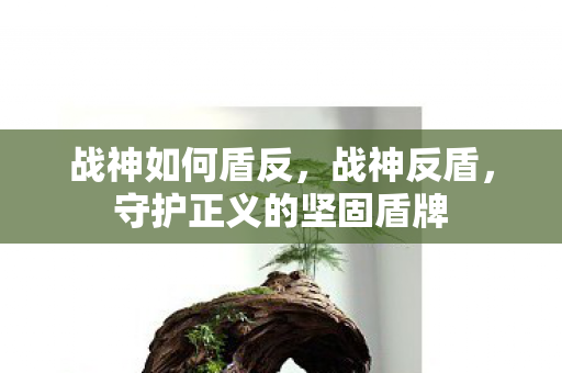 守护正义的坚固盾牌图片