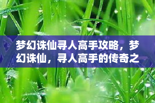 梦幻诛仙寻人高手攻略，梦幻诛仙，寻人高手的传奇之旅
