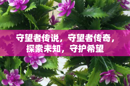 守望者传说图片