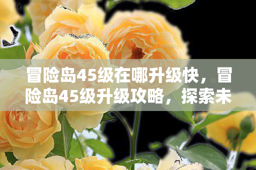 冒险岛45级在哪升级快图片