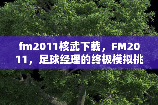 足球经理的终极模拟挑战图片