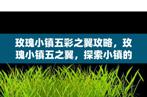 玫瑰小镇五彩之翼攻略图片