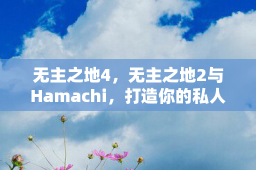 无主之地2与Hamachi图片