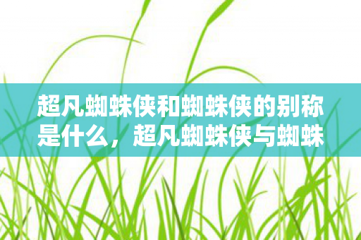 超凡蜘蛛侠和蜘蛛侠的别称是什么图片