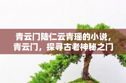 青云门陆仁云青瑶的小说，青云门，探寻古老神秘之门背后的故事