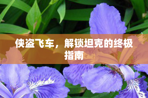 解锁坦克的终极指南图片