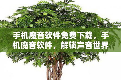 解锁声音世界的奇妙之旅图片