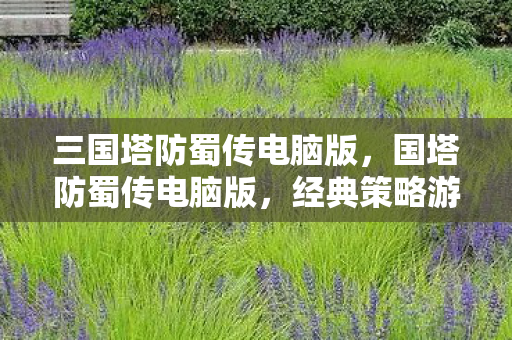 经典策略游戏的数字重生图片