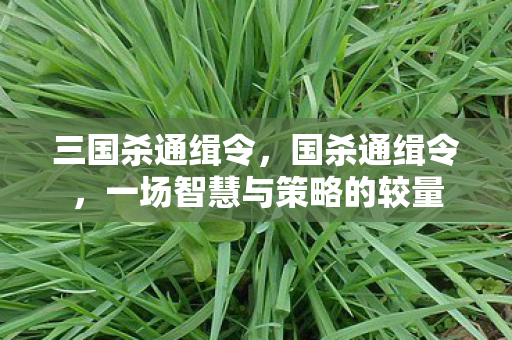 一场智慧与策略的较量图片