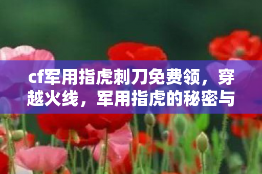 军用指虎的秘密与实战应用图片