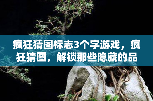 疯狂猜图标志3个字游戏图片