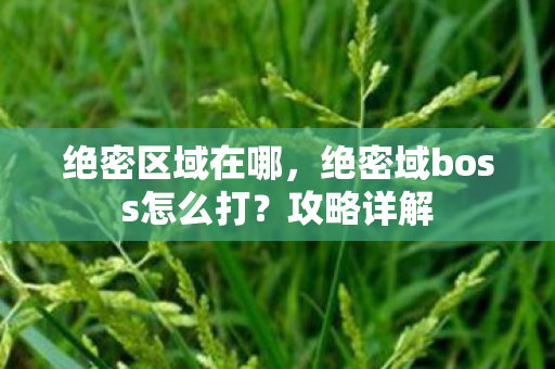 绝密域boss怎么打图片