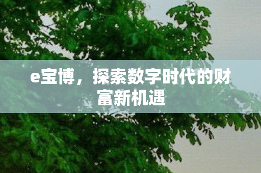 探索数字时代的财富新机遇图片