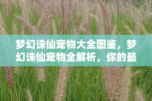 梦幻诛仙宠物大全图鉴，梦幻诛仙宠物全解析，你的最佳战斗伙伴