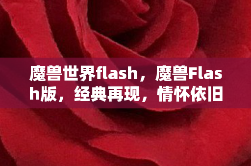 魔兽世界flash图片