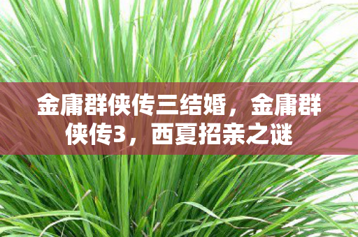 金庸群侠传三结婚图片