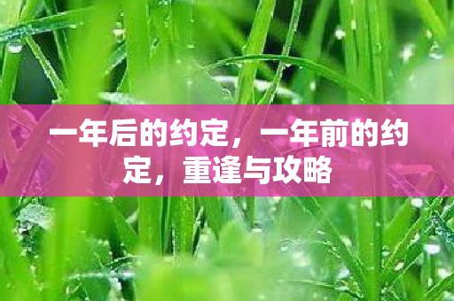 一年后的约定图片