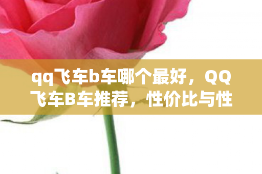 性价比与性能的完美结合图片