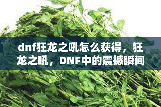 dnf狂龙之吼怎么获得图片