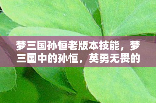 梦三国孙恒老版本技能，梦三国中的孙恒，英勇无畏的传奇将领