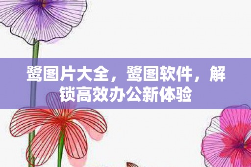 解锁高效办公新体验图片