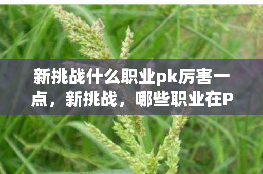 新挑战什么职业pk厉害一点图片