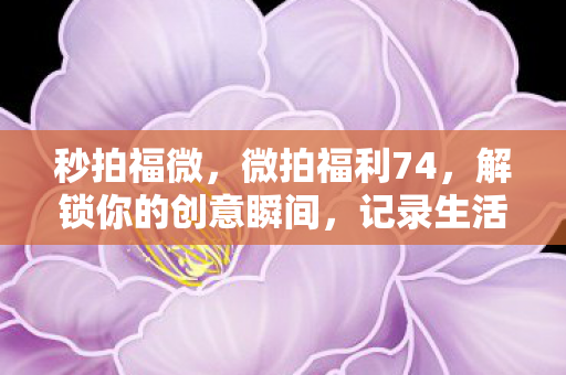 解锁你的创意瞬间图片