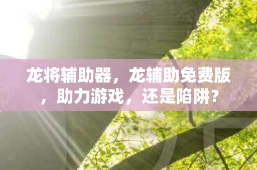 龙辅助免费版图片