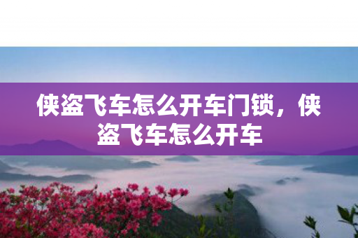 侠盗飞车怎么开车门锁图片